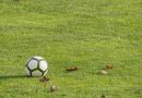 Køb fodboldmål og træn med fodbold i haven